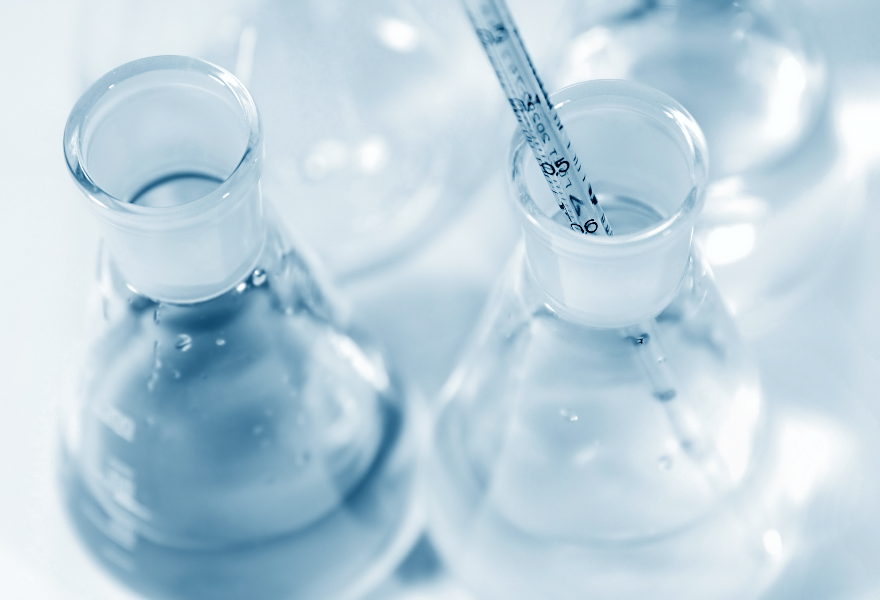 Máster universitario en biología molecular aplicada a empresas biotecnológicas (bioenterprise)